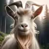Goatpdcts