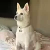 justcuteshoeslol