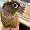 @7469498132808696863