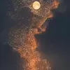 @fcvgfxd4
