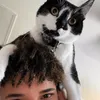 Fabiandealz