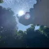 bjcobx