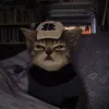 @7582817583415346231