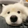 @7606607003234911246