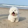 @7608990242385757197