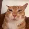 @7620953737432056846