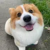@7625224229705466894