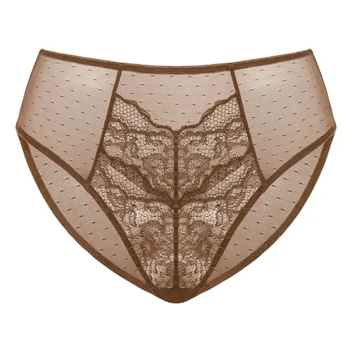 HSIA Enchante Floral Lace Sheer Mesh Back High-Rise Brief Matching Panty Underwear