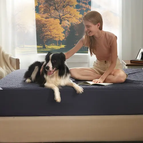 【BEDLORE】Big Copper Coin Pattern Waterproof Mattress Cover with Fitted Sheet, Soft & Breathable Non-Slip Design, Deep Pocket Fit for Bedroom & Home Use HomeEssentials