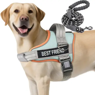 【#DealsForYouDays】AUROTH No Pull Dog Harness and Leash Combo, Reflective Adjustable Safety Harness – Soft Padded, Easy On & Off – Dog Walking & Training, Small Medium Large Dogs