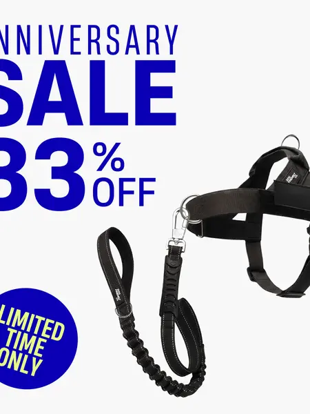 Dog Friendly Co. Harness + No-Pull D-ring + Bungee Leash