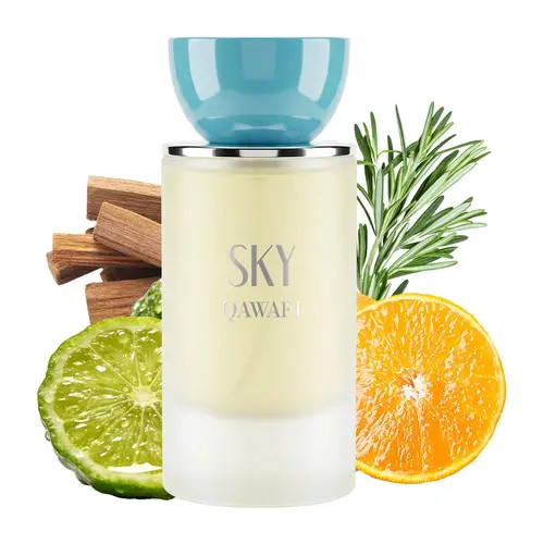 SKY | Fresh Citrus Aromatic | Extrait De Parfum 50ml | 8H+ Long Lasting | Citrus,Rosemary & Patchouli | Office,Gym & Daily Wear cologne for men sohochic