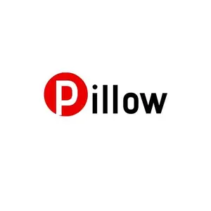 The best pillow2