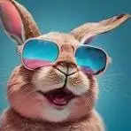 TOPBUNNY PLUS