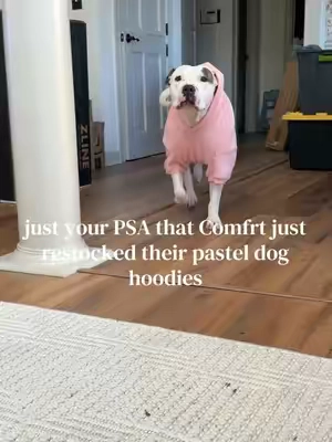 Miss Sally is 75lb pitty wearing size 4xl #comfrt #dogsoftiktok @Comfrt 