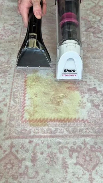 What’s the better cordless stain remover? #stainremover #stainremoval #staincleaner #sharkstainforce #petstainremover 