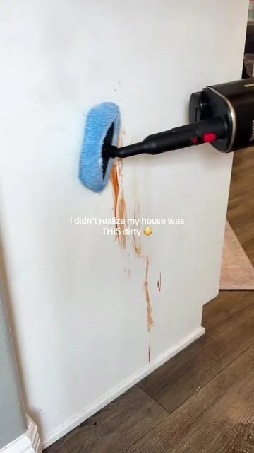 Obsessed with steam cleaning my house now! @DreameUS #steamcleaner #steamcleaning #steammop #DealsForYouDays #dreamesh10 