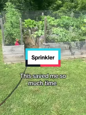 How cool is this?! #sprinkler #tiktokshopcreatorpicks #SummerVibes #dealsforyoudays #garden 