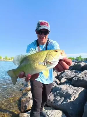 Never Overestimate Again #Fishing #FishingVideos #FishingContent 