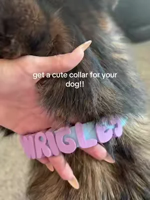 #dog #pet #collar 