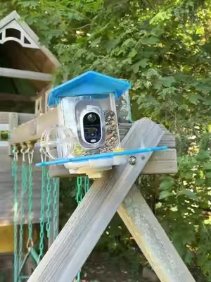 A way to screen capture the bird to visit your  feeder#TikTokShopCreatorPicks #tiktokshopsummerturnup #dealsforyoudays #SummerWins #birdwatching 