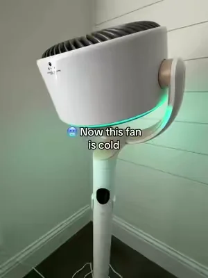Dreo Smart Oscillating Fan. 