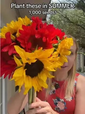 1000 sunflower seeds, 8 varieties. Plant these seeds in the summer to make beautiful colorful sunflower bouquets in the fall. #seeds #sunflowerseeds #cutflowergarden 