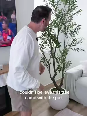 realistic olive tree, faux olive tree with pot, artificial olive tree, luxury home decor, realistic fake plant, living room decor, maintenance free plant, aesthetic home decor, modern farmhouse decor, decorative indoor tree, designer inspired decor, home styling ideas, elegant home accents, TikTok home finds, room makeover #DealsForYouDays #homedecor #olivetree #fauxplant #homefinds