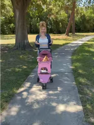 Coche para mascotas #petstroller #dogstroller #coche 