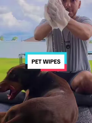The perfect wipes between monthly showers 🙌🏽  #DealsForYouDays #SummerWins #summeressentials #dogwipes #doberman 