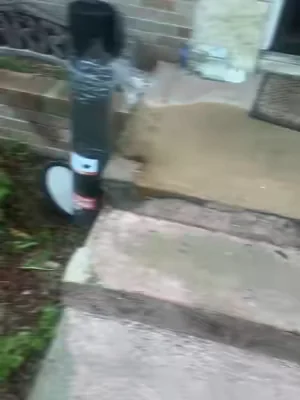 7654030829731040543