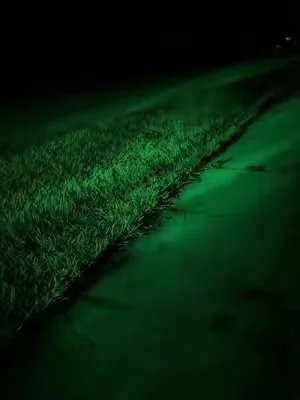 Looks so much brighter than i thought 