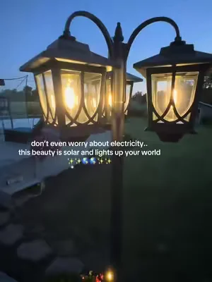 Solar light that glows up my backyard✨🤩#solar #garden #dealsforyoudays #tiktokshopcreatorpicks #light 