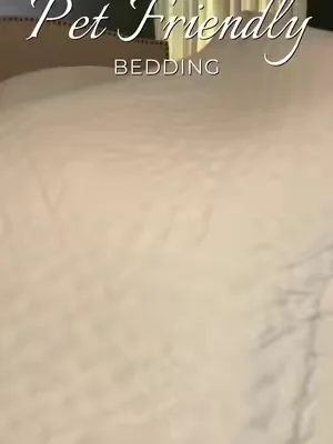 A comfy, cozy, pet friendly quilt?! Sign me up! #dealsforyoudays #petfriendlybedding #lightweightquilt 