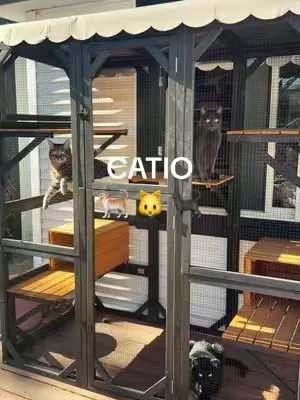 Our cats are absolutely obsessed with this Catio 😭🙈 #catio #catiolife #catlovers #cats #dealsforyoudays 