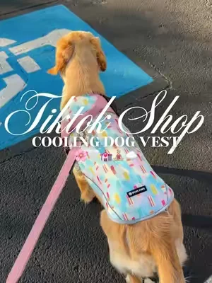 Cooling dog vest 🌸🤍💒🧘🏼‍♀️☁️#fyp #dogcoolingvest #dogclothes #dogclothing #dogaccessories 