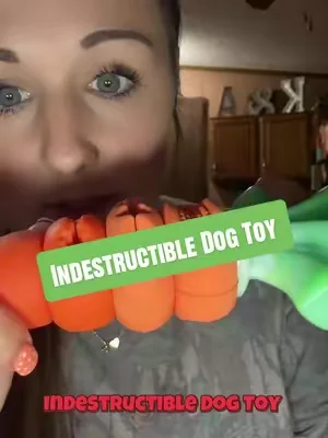#dog #dogtoy #indestructible 