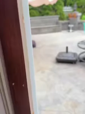 #umbrella 