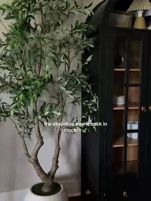 Artificial olive tree is back in stock & it’s on sale! This one is the 7ft! #olivetree #decor #housedecor #artificialplants #Home 