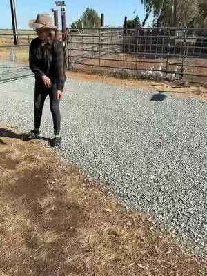 7654464957320367391