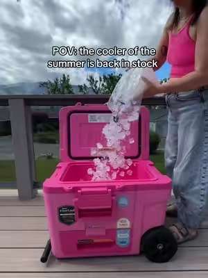If you missed the Ninja Frost Vault cooler on wheels the first time…it’s back!!!  #ninjafrostvault #ninjakitchen #ninjacooler #frostvaultcooler #cooler 