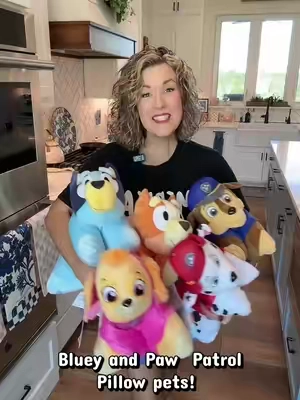 The new Bluey and paw patrol pillow pets are reduced in price and free shipping! #pillowpet #pawpatrol #bluey #falldealsforyou #kids 