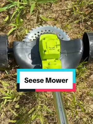 Now this is what I call a yard tool! #seese #yardwork 