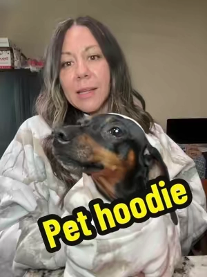 Camo hoodie for your dog #pethoodie #comfrthoodie #dachshundlife #TikTokshopbacktoschool #camohoodie 